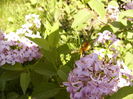 P1250129