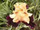 P1250491