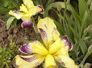 P1250494