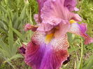 P1250504