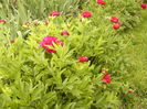 P1250510