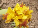 P1250520