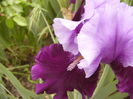 P1250526