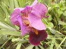 P1250527