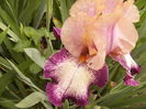 P1250529