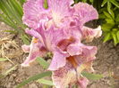 P1250535