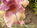 P1250536