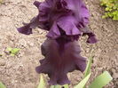 P1250537
