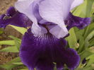 P1250542