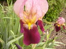 P1250544