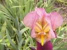 P1250545