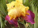 P1250549