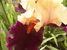 P1250551