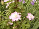 P1250559