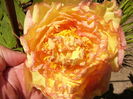 P1250618