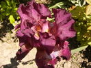 P1250620