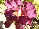 P1250623