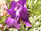 P1250624