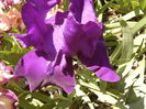 P1250625