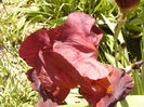 P1250632