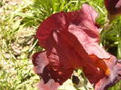 P1250633
