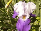 P1250640