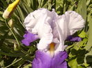 P1250641