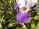 P1250642