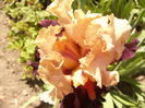 P1250648