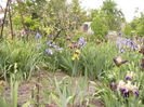 P1250661
