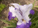 P1250665