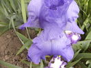 P1250666