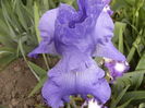 P1250667