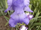 P1250668