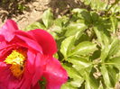 P1250682