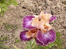 P1250697