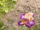 P1250698