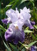 P1260332