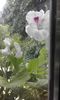 20160506_172508
