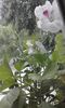 20160506_172520