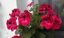 20160506_172636