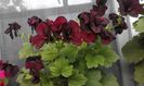 20160506_172733