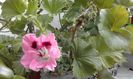 20160506_172927
