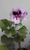 20160506_173222