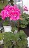 20160506_173247