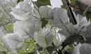 20160506_174039