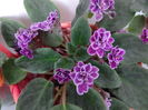 Magia Lubvi