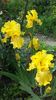 20160502_152202