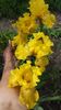 20160502_152234