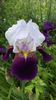 20160502_152316